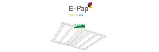 E-Pap